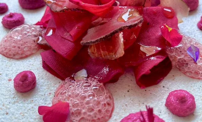 Le thon ,houmous et pickles de betteraves 